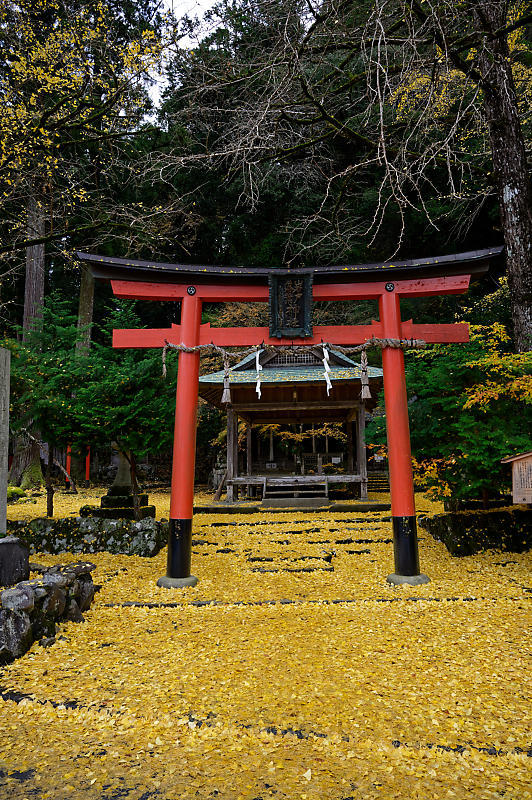 2019京都の紅葉・小野郷　岩戸落葉神社_f0032011_19394248.jpg