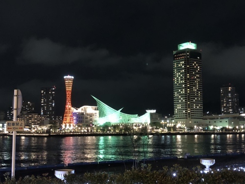 インフルエンザ_d0184114_20251849.jpeg