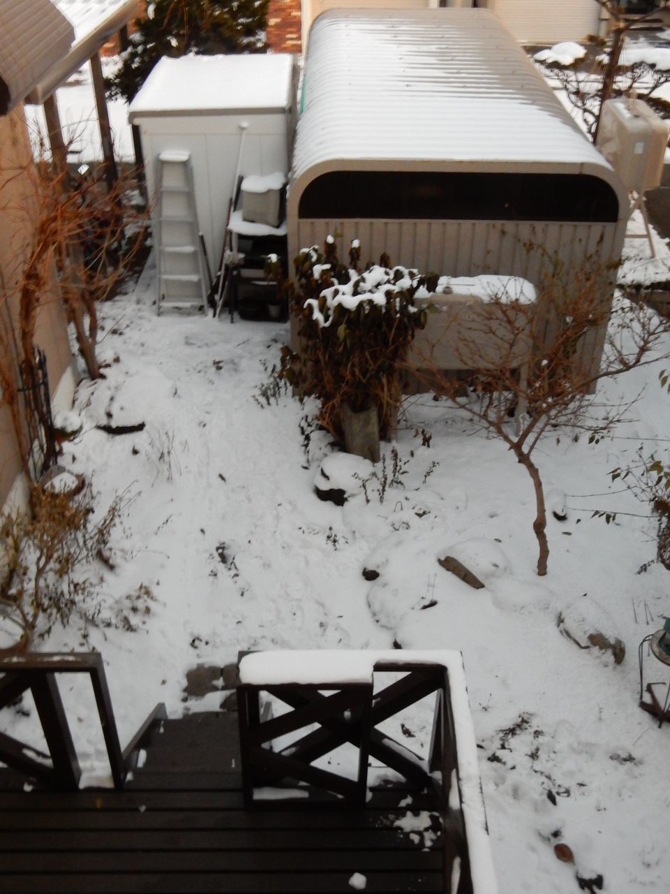 降らないのに雪も消えない_c0025115_21442972.jpg
