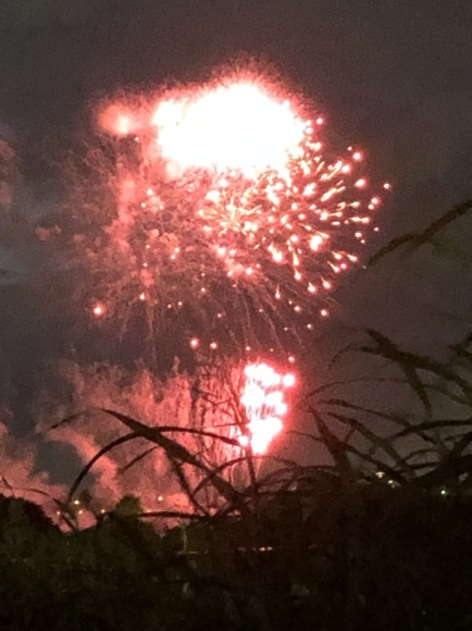 f0290135_08321564.jpeg