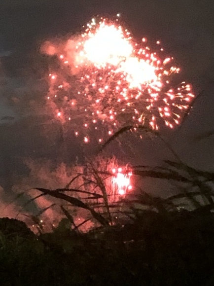 f0290135_08324601.jpeg