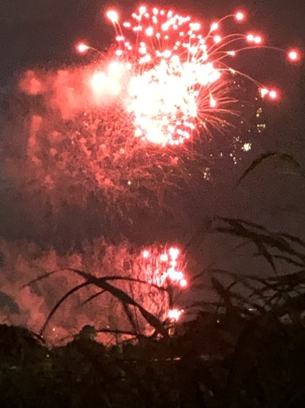 f0290135_08365152.jpeg