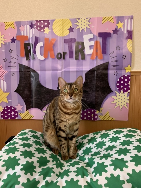 もう12月ですけど~~_c0006748_14130452.jpg