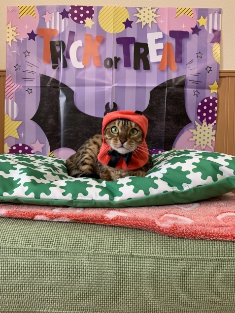 もう12月ですけど~~_c0006748_14145086.jpg