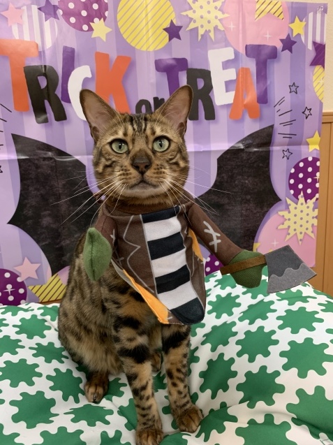 もう12月ですけど~~_c0006748_14193866.jpg