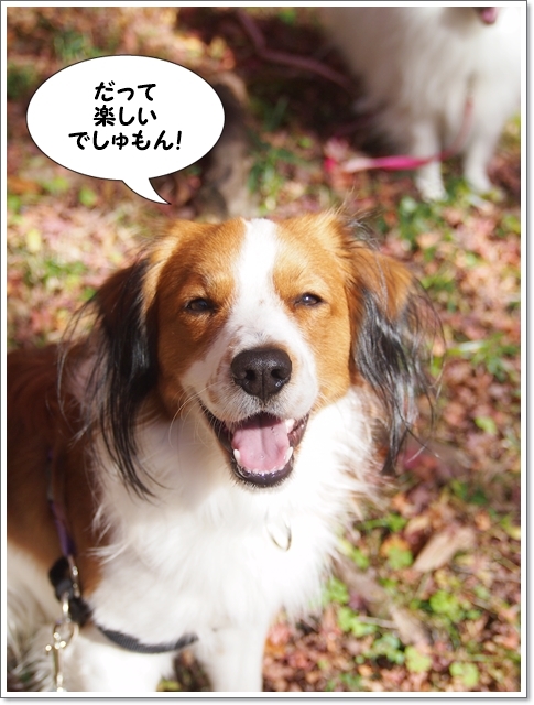 またまた21世紀の森!_d0013149_00483929.jpg