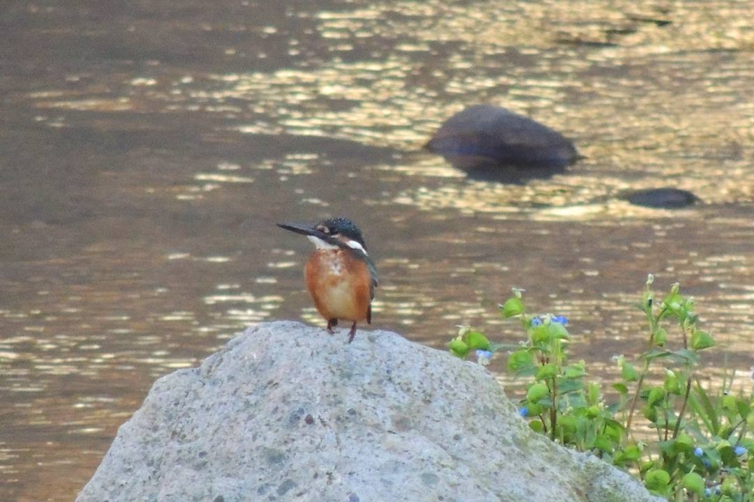 e0403850_15412173.jpg