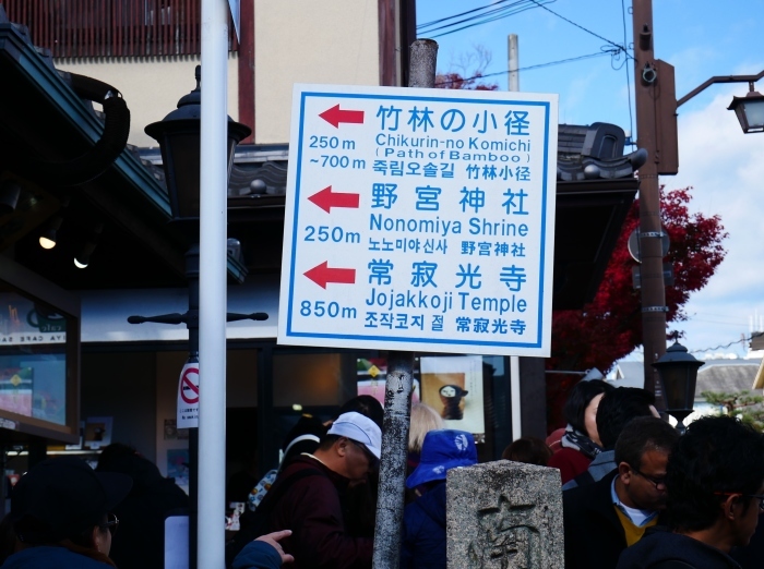 　　嵯峨・嵐山めぐり　４　天龍寺から竹林の小径へ　　２０２３-１１-２８　００：００_b0093754_22250504.jpg