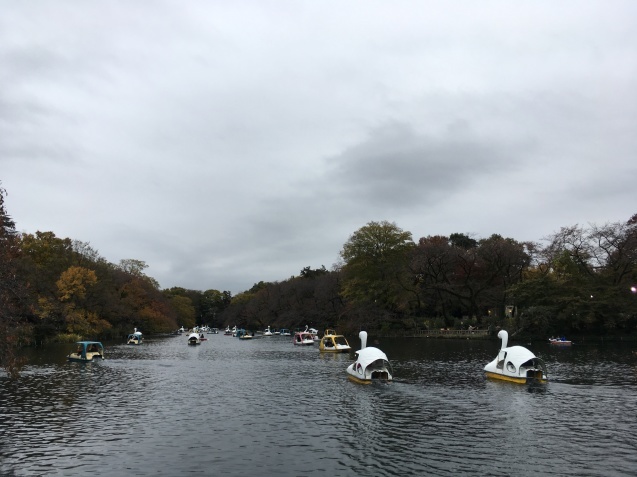 d0028665_23314926.jpeg