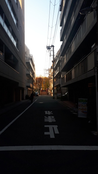 雑司ヶ谷霊園、多磨霊園のにわか墓マイラー、深川共葬墓地の行方について、amazonプライム、短期病気休養の日々:20190318-25twitterまとめ_b0116271_00363362.jpg