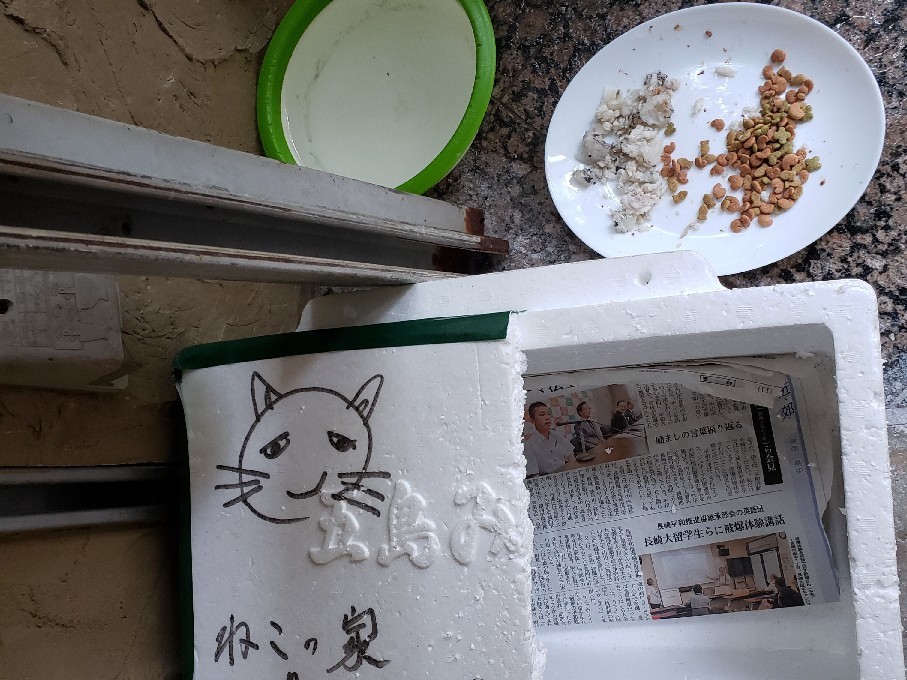 私は駄菓子は食べないの_c0193077_13125457.jpg