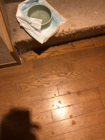 我が家のパティシエ_e0355177_14224120.jpg