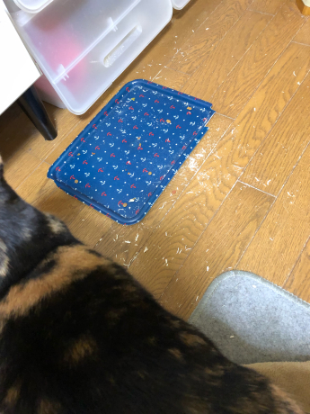 目撃証言_e0355177_17093285.jpg
