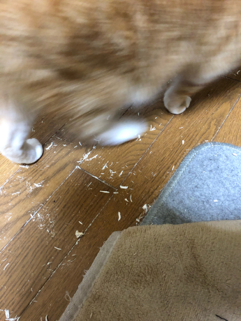 目撃証言_e0355177_17093394.jpg