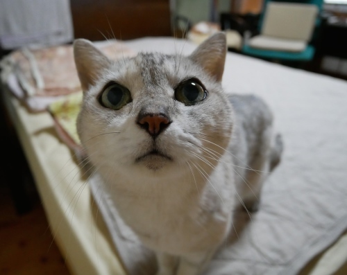 お茶目写真、見つけた_f0054677_08324869.jpeg