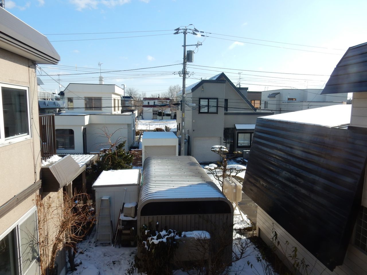 久しぶりに真冬日を抜けました_c0025115_22134799.jpg
