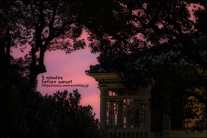 日没5分前_f0100215_23335350.jpg