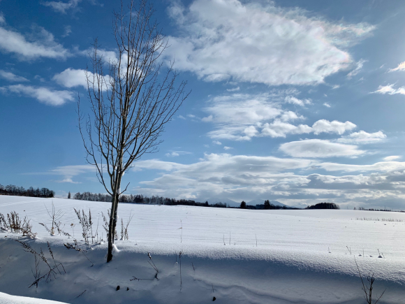 気持ちいい青空(^ ^)_f0096216_10584847.jpg