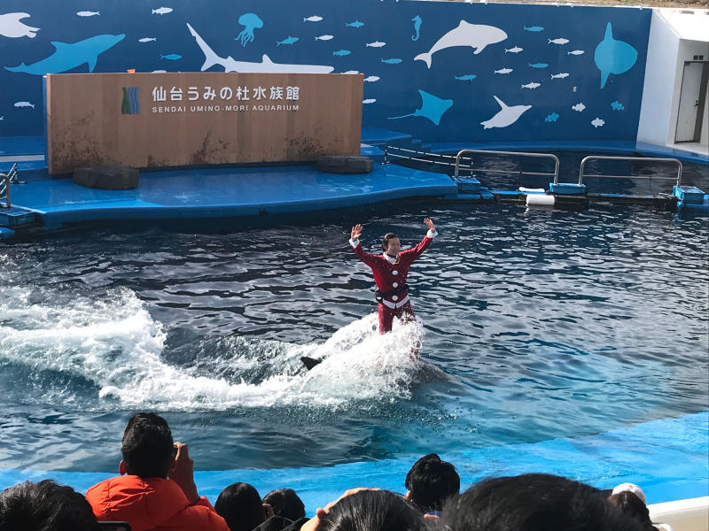 仙台うみの杜水族館_a0030217_18222015.jpg