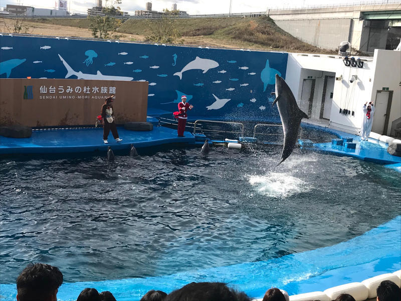 仙台うみの杜水族館_a0030217_18243778.jpg