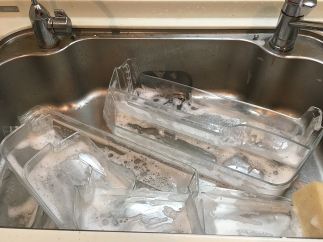 ビバ 大掃除_d0348118_16461235.jpeg