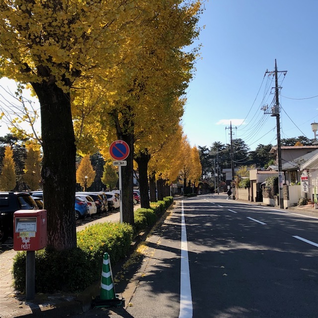 歩いた、歩いた！！週末レポ 日曜日 編_f0332332_18465655.jpg