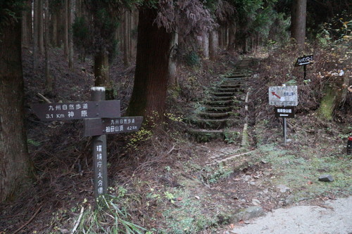 祖母山で霧氷を楽しむ！_e0272335_17595456.jpg