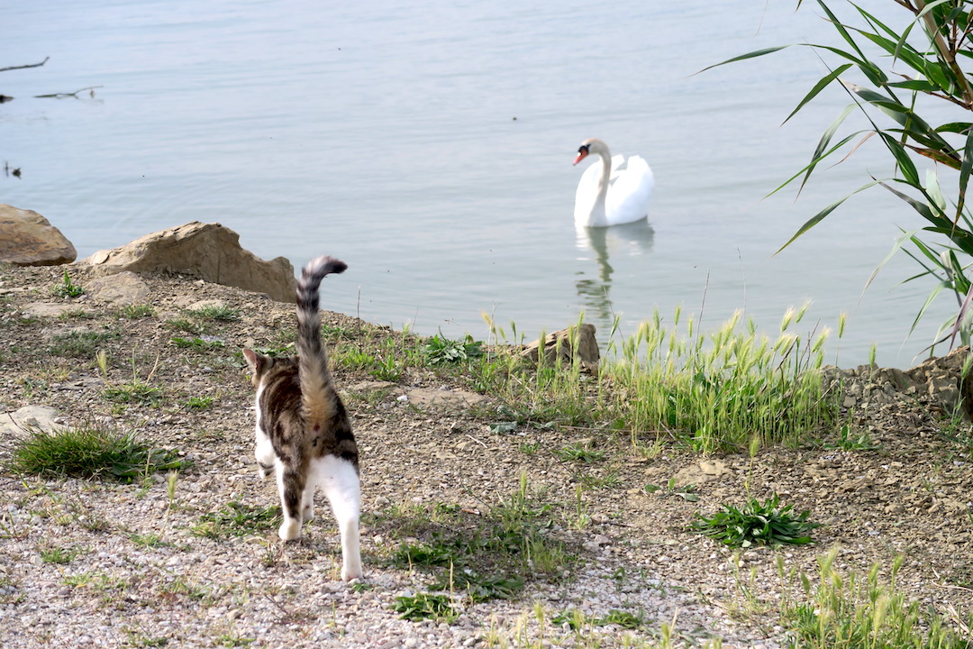 カレンダーづくりに写真探し中 自分たちの写真と風景どちらを選ぶか_f0234936_8304922.jpg