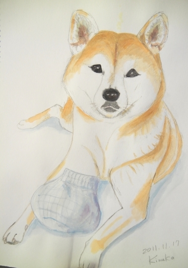 ’19,12,7(土)猫のこころちゃんと柴犬の愛ちゃんの絵!_f0060461_10480262.jpg