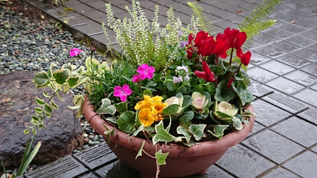 ギャザリング 寄せ植え 幸せごっこ ギャザリング 寄せ植え 幸せごっこ
