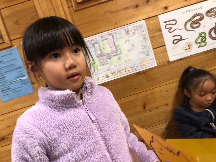 星空キャンプ〔1日目〕宇宙の不思議と天体について学ぶ3日間。初日はネコ型星座版作りに挑戦!_d0363878_00143131.jpg