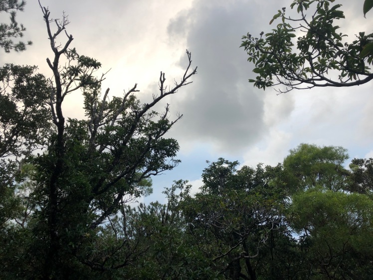 星空キャンプ〔2日目〕山の上のキャンプ場に到着。雨の切れ間に天体望遠鏡の練習だ!_d0363878_22592283.jpg