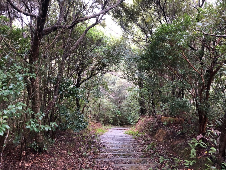 星空キャンプ〔2日目〕山の上のキャンプ場に到着。雨の切れ間に天体望遠鏡の練習だ!_d0363878_23005825.jpg