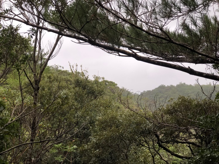 星空キャンプ〔2日目〕山の上のキャンプ場に到着。雨の切れ間に天体望遠鏡の練習だ!_d0363878_23005852.jpg
