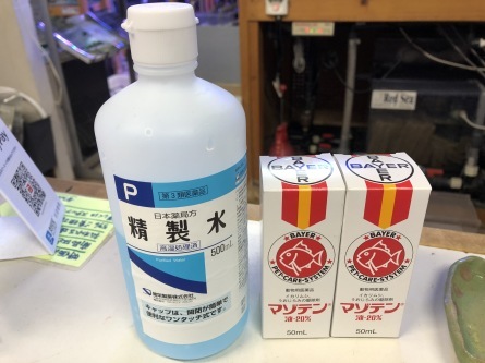 12/7 店長日記_e0173381_18304208.jpg