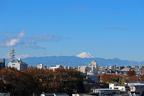 アベ政治を許さない 富士山_a0188487_13400714.jpg