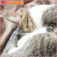 1日ワープ!_a0389088_17074836.jpg