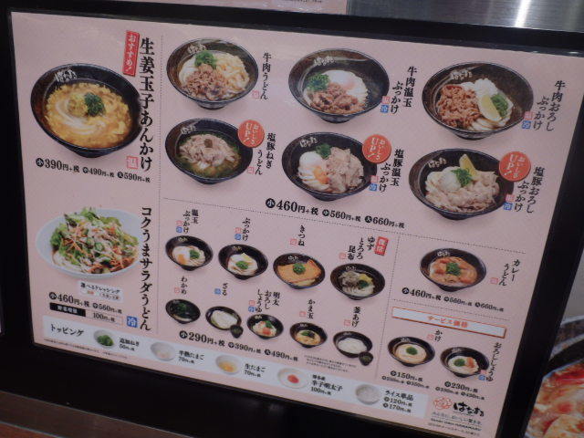 はなまるうどん 元町1番街店_c0118393_17422062.jpg