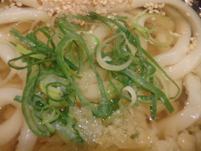 はなまるうどん 元町1番街店_c0118393_17454475.jpg