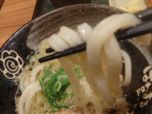 はなまるうどん 元町1番街店_c0118393_17524069.jpg