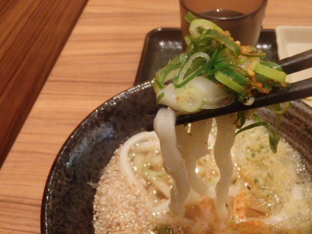 はなまるうどん 元町1番街店_c0118393_17531266.jpg