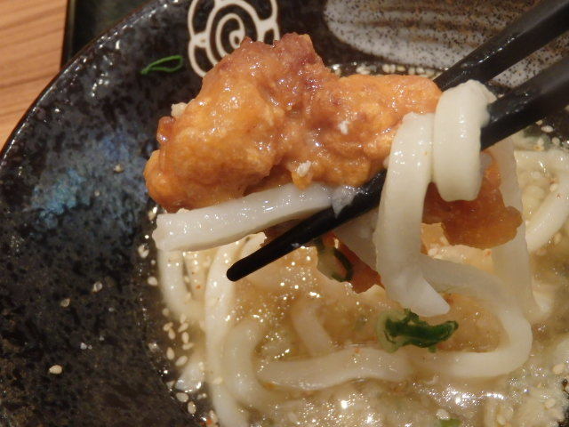 はなまるうどん 元町1番街店_c0118393_18071190.jpg