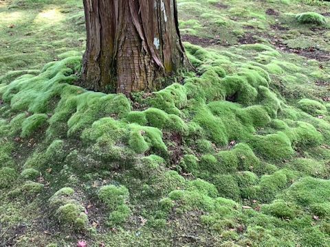 c0090198_13302982.jpg
