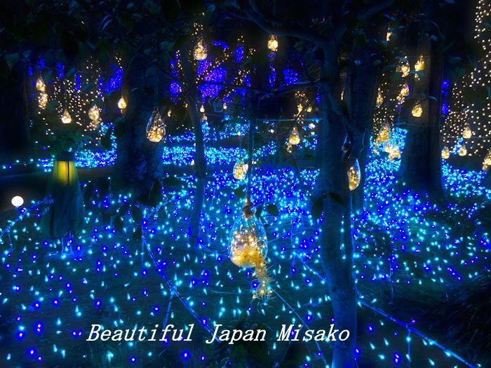 湘南の宝石 シーキャンドル 2019・゚☆、・:`☆・・゚・゚☆。_c0067206_15402011.jpg