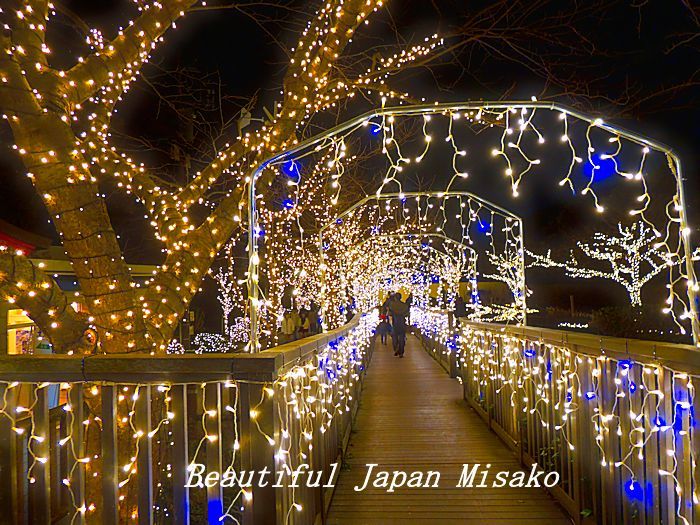 湘南の宝石 シーキャンドル 2019・゚☆、・:`☆・・゚・゚☆。_c0067206_15404587.jpg