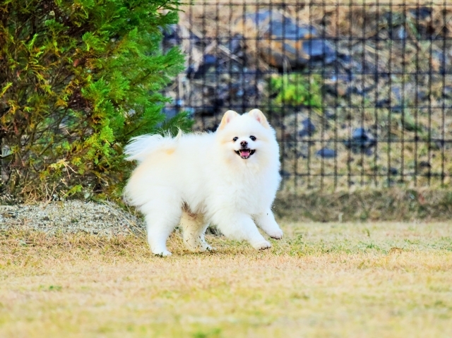 それでは、始まり始まり_d0360206_23452871.jpg