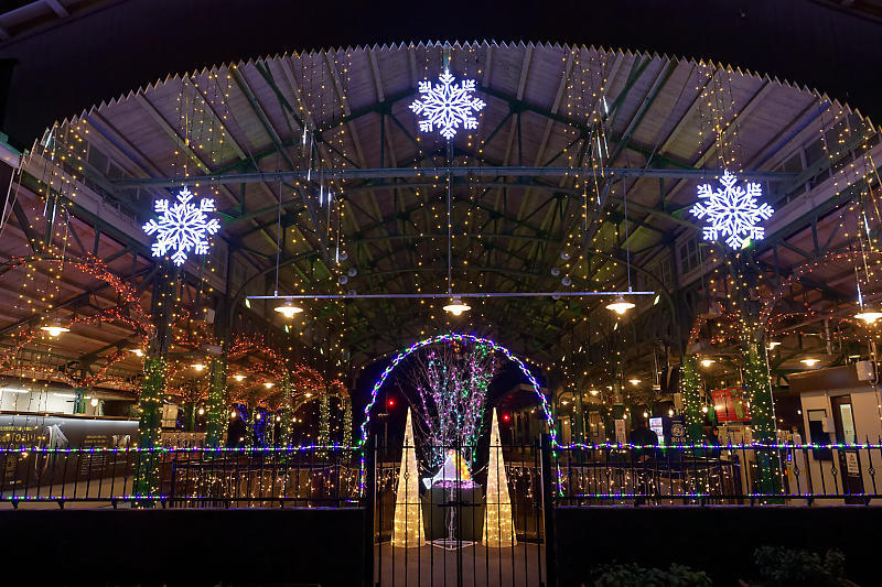 2019クリスマスイルミネーション@八瀬クリスマスイルミステーション_f0032011_17080083.jpg