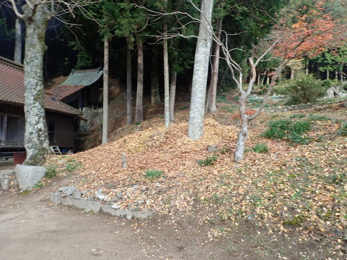 客人神社の落ち葉の掃除_c0116915_23414843.jpg