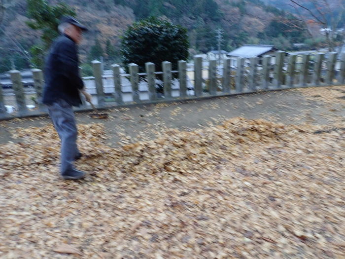 客人神社の落ち葉の掃除_c0116915_23441478.jpg