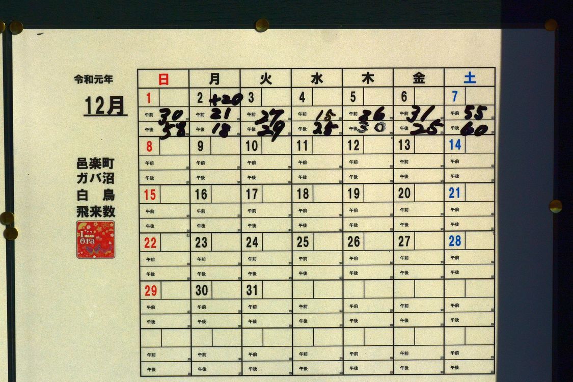 今朝の一番札!富士山+ハクチョウ+多々良沼!・・・12月8日快晴の朝だった_a0031821_14384406.jpg